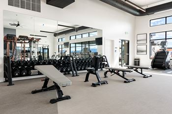 Gym with benches and machines